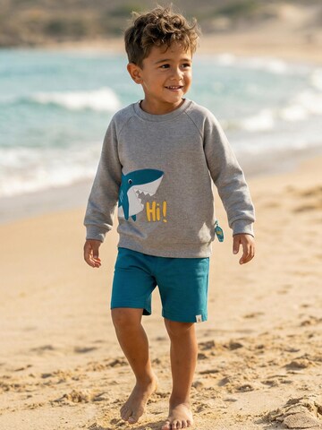 SIGIKID Regular Pants 'Bermuda Blue & Bright' in Green