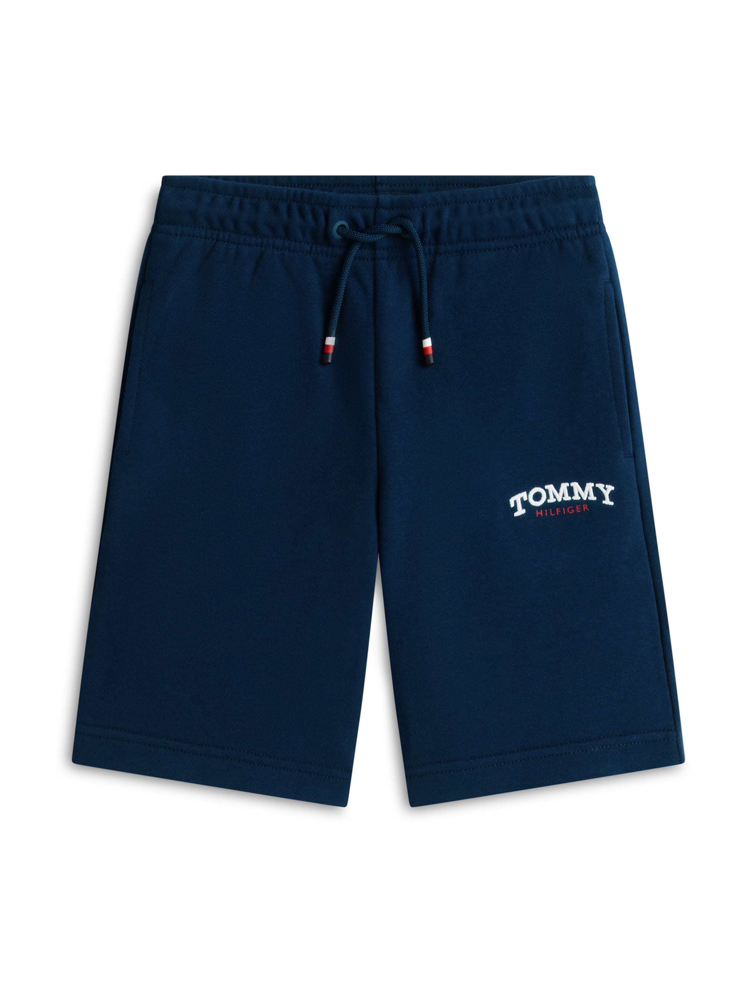 TOMMY HILFIGER Regular Byxa i blå: framsida