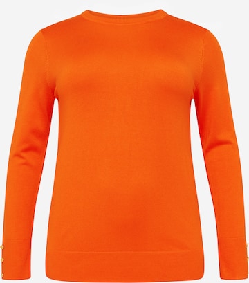 Dorothy Perkins Curve Sweater in Orange: front