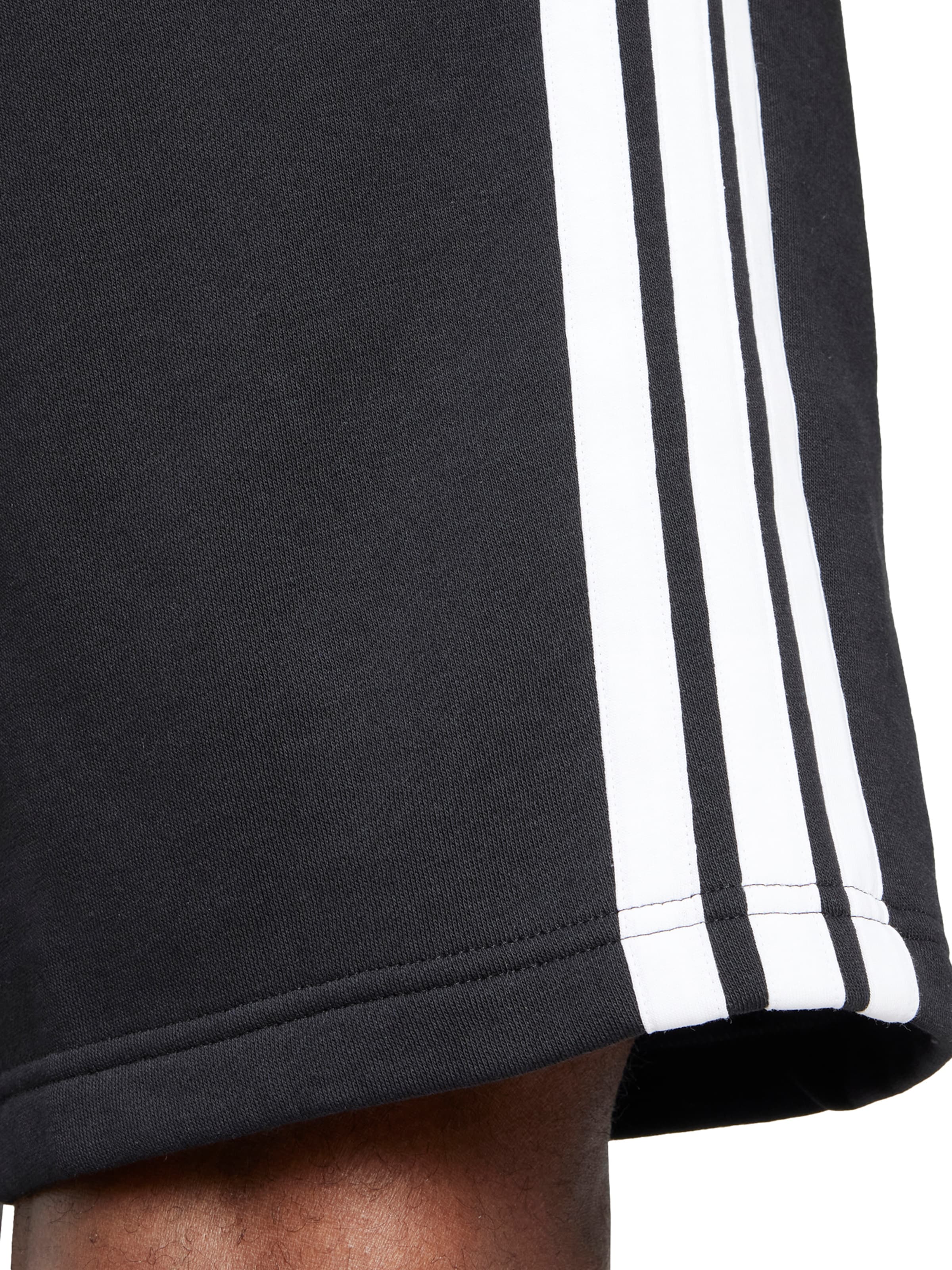 ADIDAS SPORTSWEAR Обычный Спортивные штаны в Черный