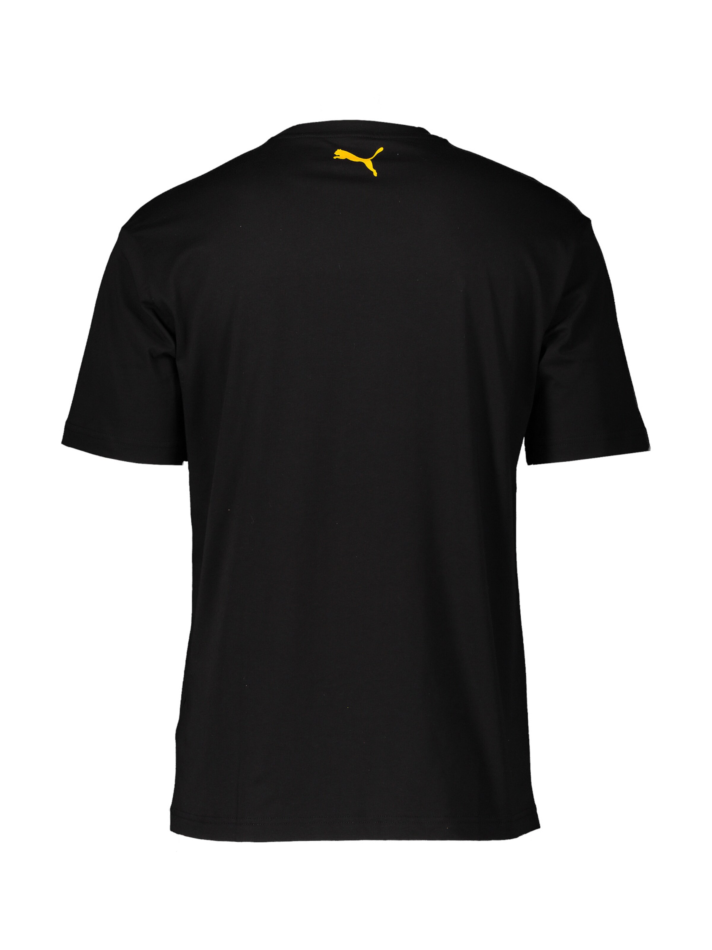 PUMA Funkcionalna majica 'Sky Is The Limit Dennis' | črna barva