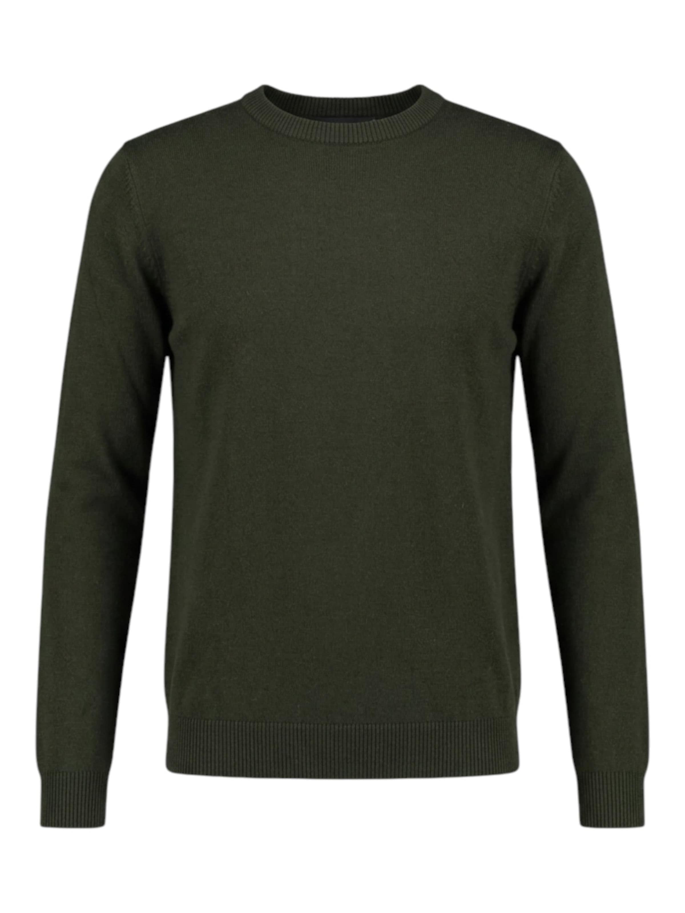 TEESHOPPEN Sweatshirt in Grün: Vorderseite