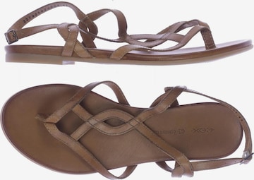 COX Sandalen 41 in Braun: predná strana