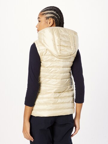 TOMMY HILFIGER Bodywarmer in Beige