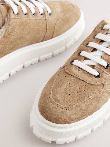 Next Platform trainers in Brown