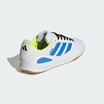 Chaussure de sport 'Super Sala Competition III' ADIDAS PERFORMANCE en blanc