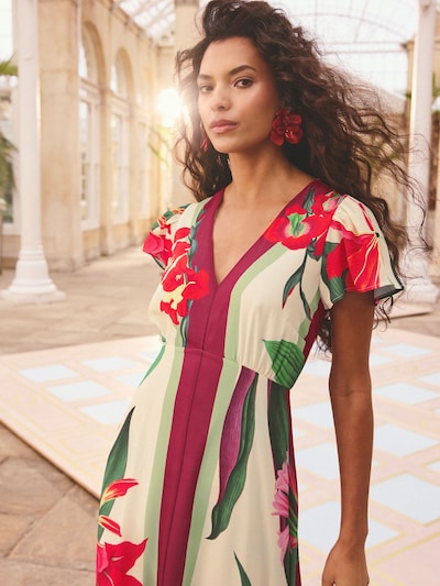 love & roses Poletna obleka | kremna / jelka / krvavo rdeča barva, Prikaz izdelka