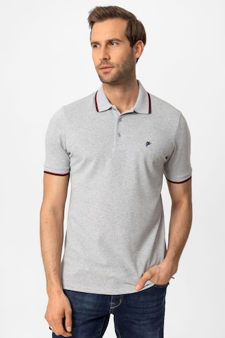 DENIM CULTURE - Camiseta 'ARVID' en gris: frente