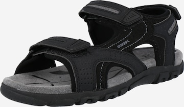 GEOX Trekkingsandal 'Strada' i svart: framsida