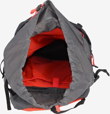 SALEWA Sports Backpack 'Alptrek' in Grey