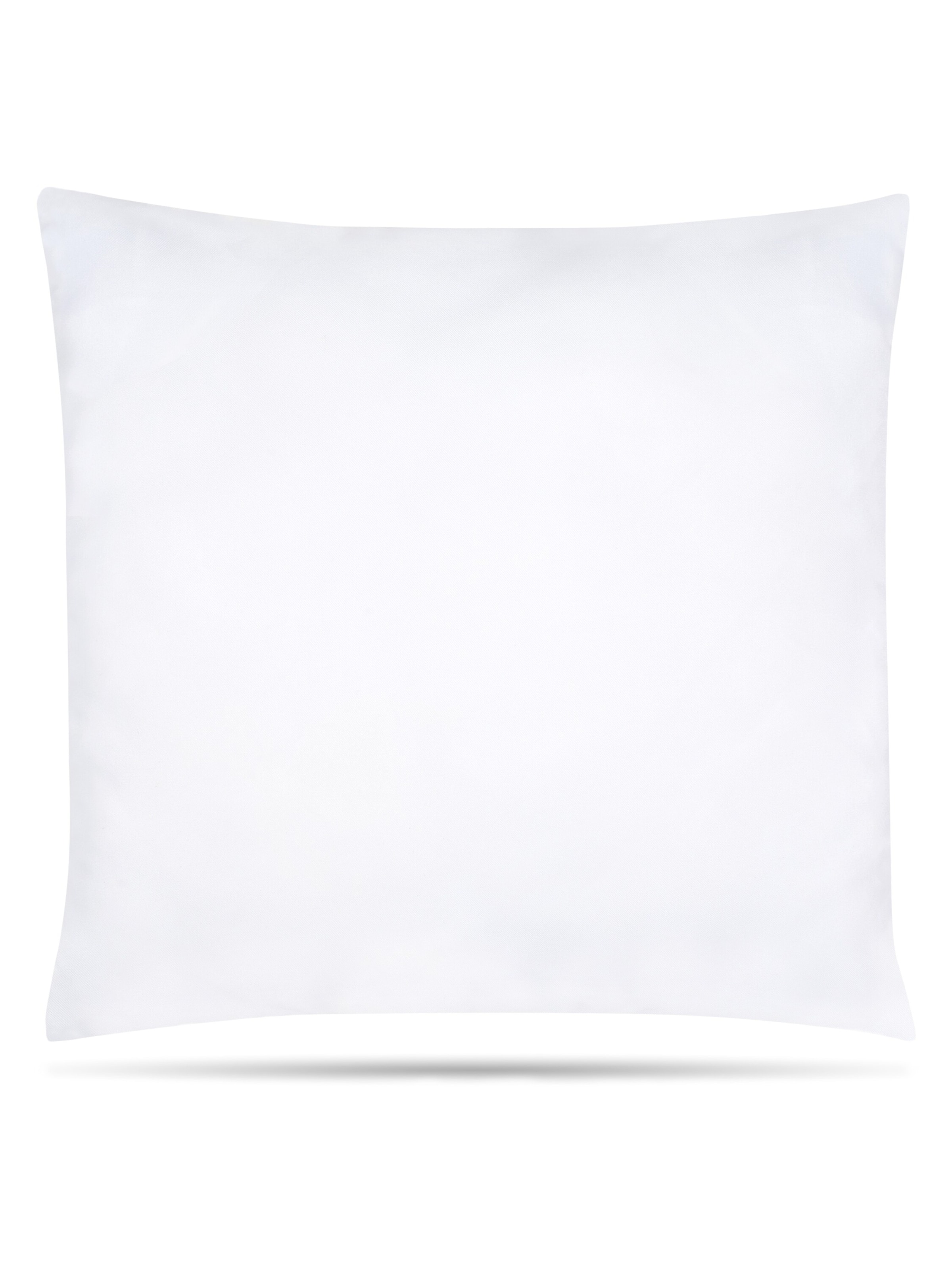 Aspero Kissen in Grün