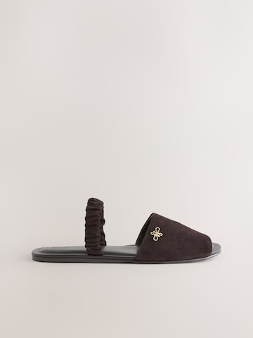 Next Mules in Brown
