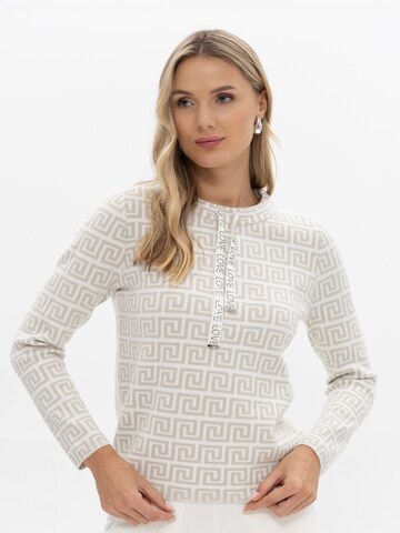 Passioni Sweater in Grey: front