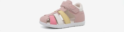 GEOX Chaussure basse en jaune / rose / rose / blanc, Vue avec produit