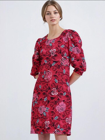 Robe Bigdart en rouge