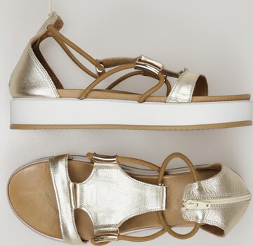 INUOVO Sandals & High-Heeled Sandals in 40 in Gold: front