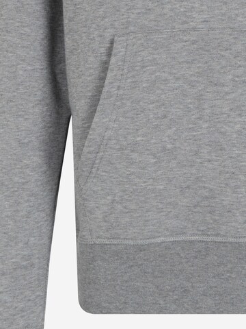 TOMMY HILFIGER Regular fit Sweatshirt in Grey