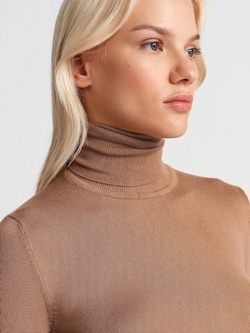 Dilvin Pullover 'Pullover'‌‌‌‌‌‌‌ in Braun
