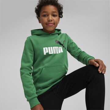 PUMA Sweatshirt 'Essentials' in Grün: predná strana