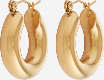 Karolina Kurkova Originals Earrings 'Dion' in Gold: front