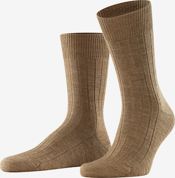 FALKE Socks 'Teppich im Schuh' in Brown: front