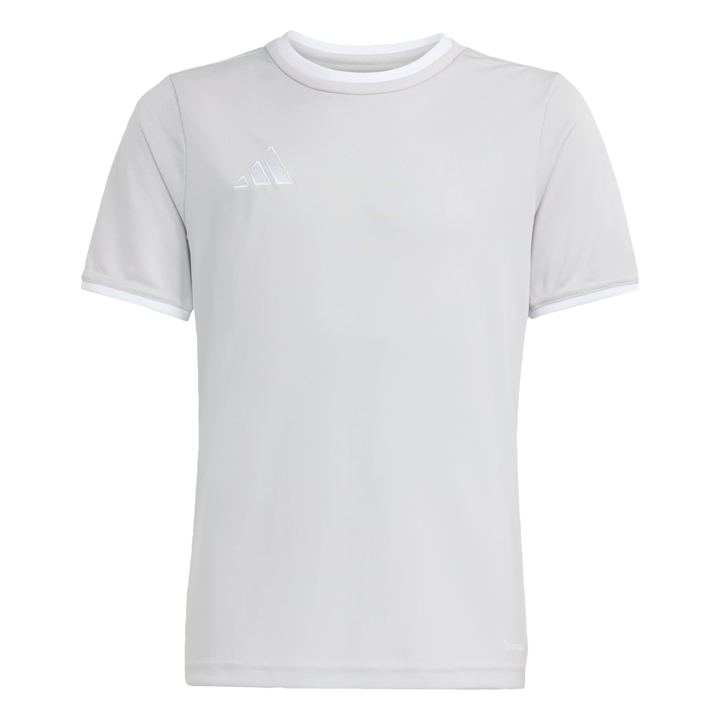 ADIDAS PERFORMANCE Functioneel shirt 'Entrada26' in Grijs: voorkant
