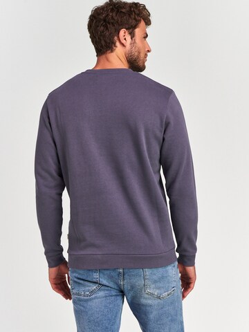 Sweat-shirt Shiwi en gris