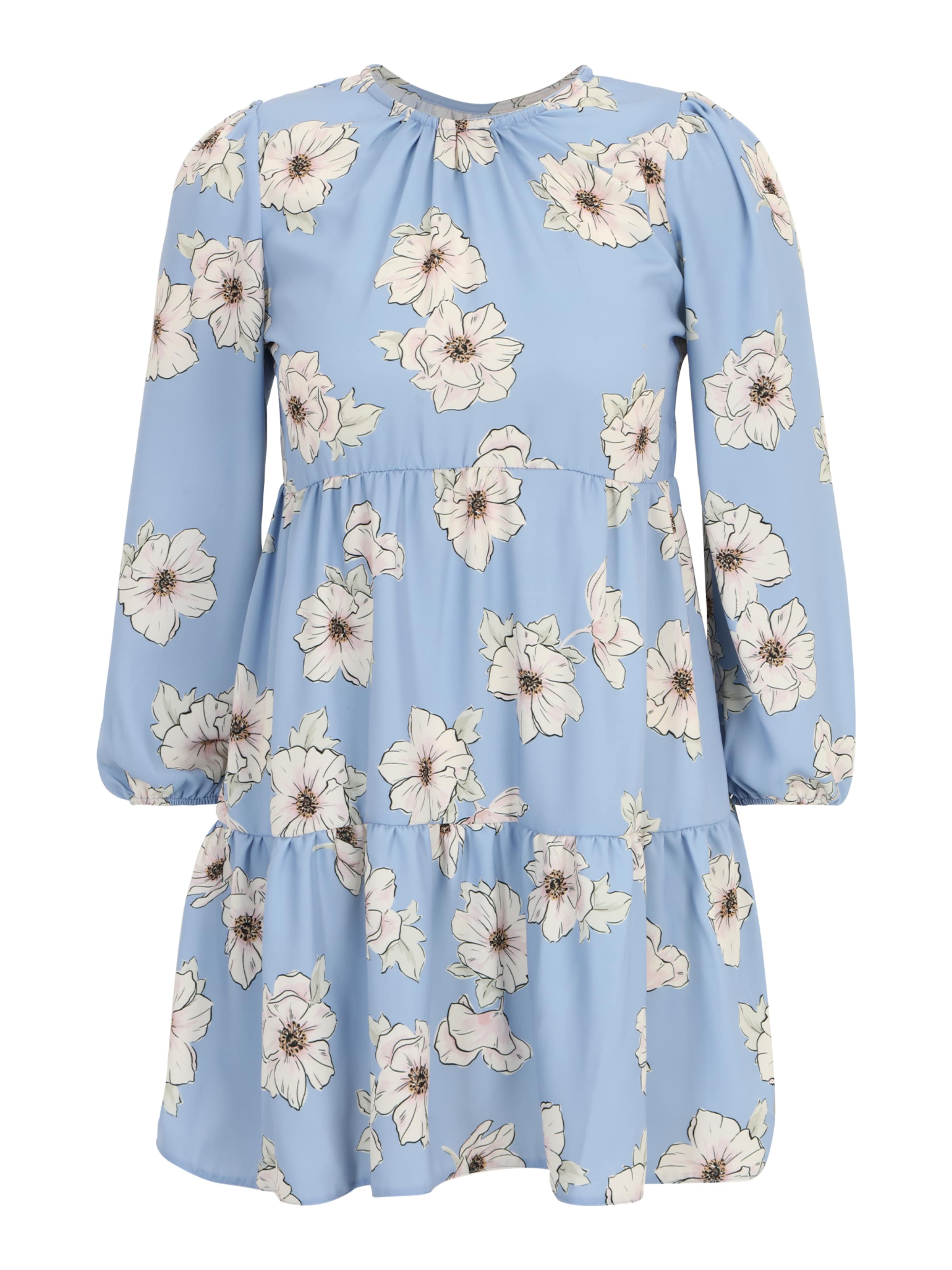 Dorothy Perkins Petite Kleita, krāsa - debeszils / melns / balts, Preces skats