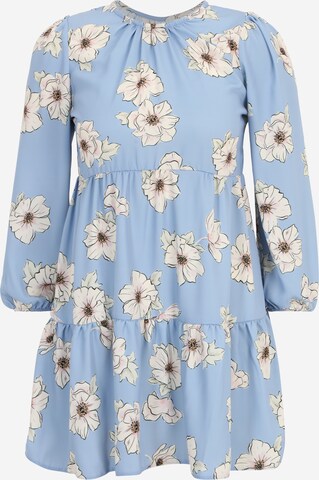 Dorothy Perkins Petite Dress in Blue: front