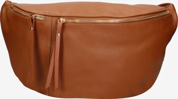 Marsupio 'Marsupio donna pelle dollaro Gave Lux - con zip e tracolla regolabile' di Chiara Ferretti in marrone: frontale