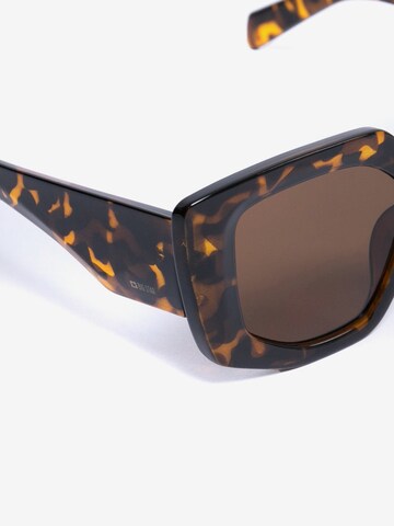 BIG STAR Sunglasses 'Aroni' in Brown