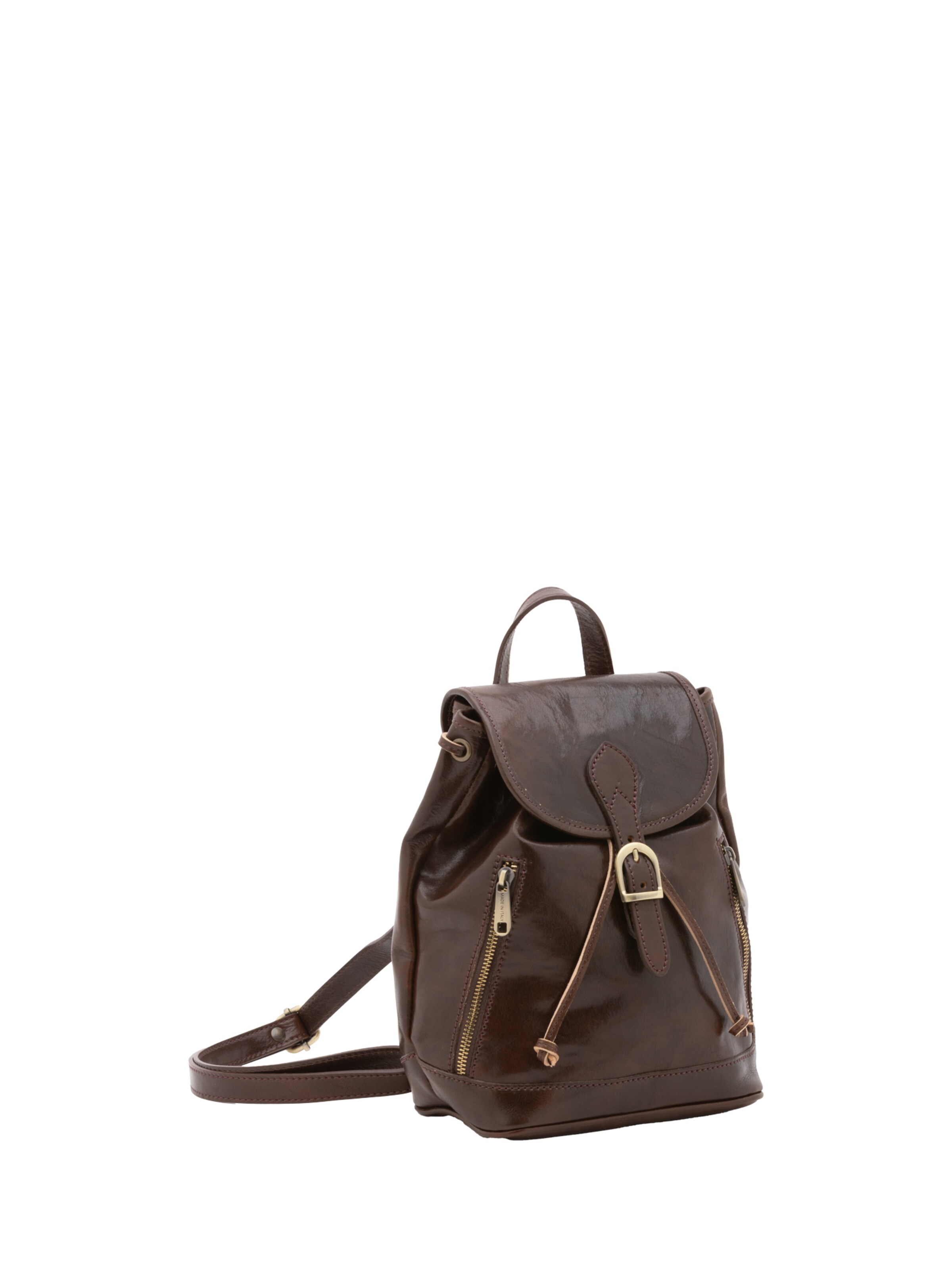 Viola Castellani Backpack in Brown: front