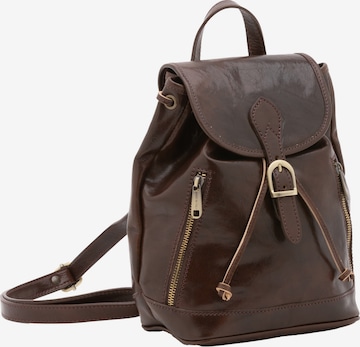 Viola Castellani Backpack in Brown: front