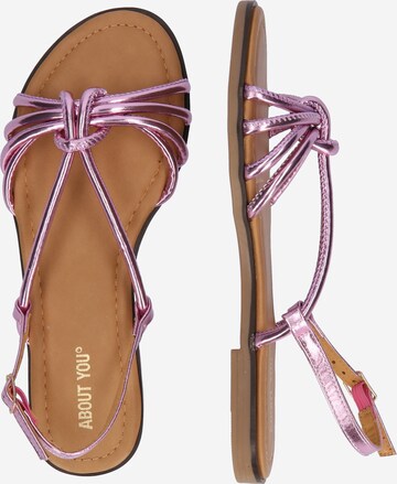 ABOUT YOU Sandals 'Ylvi' in Pink