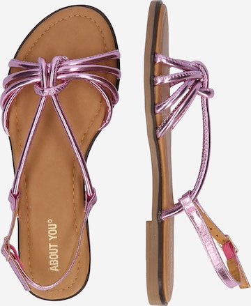 ABOUT YOU Sandalen 'Ylvi' in Pink