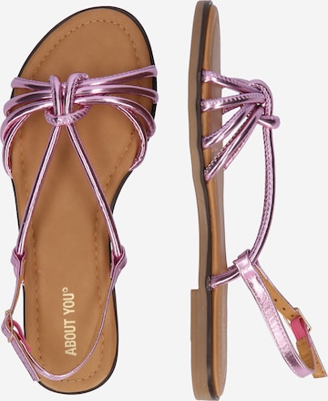 ABOUT YOU Sandal 'Ylvi' i rosa