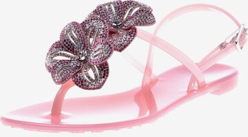 Baldinini Sandalen met riem in Roze: voorkant