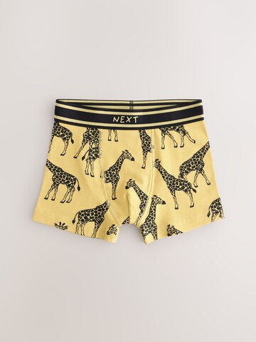 Next Onderbroek in Gemengde kleuren