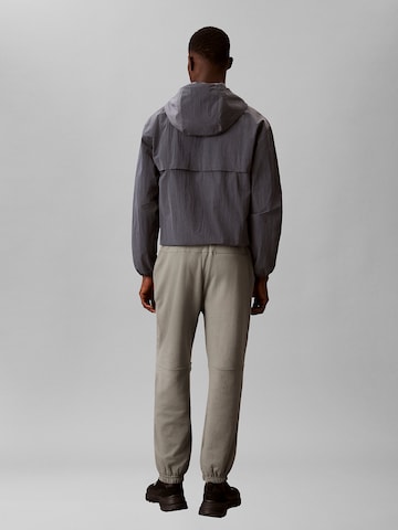 Calvin Klein Tapered Pants in Grey