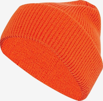 oranžs ADIDAS TERREX Sporta cepure 'Multi': no priekšpuses