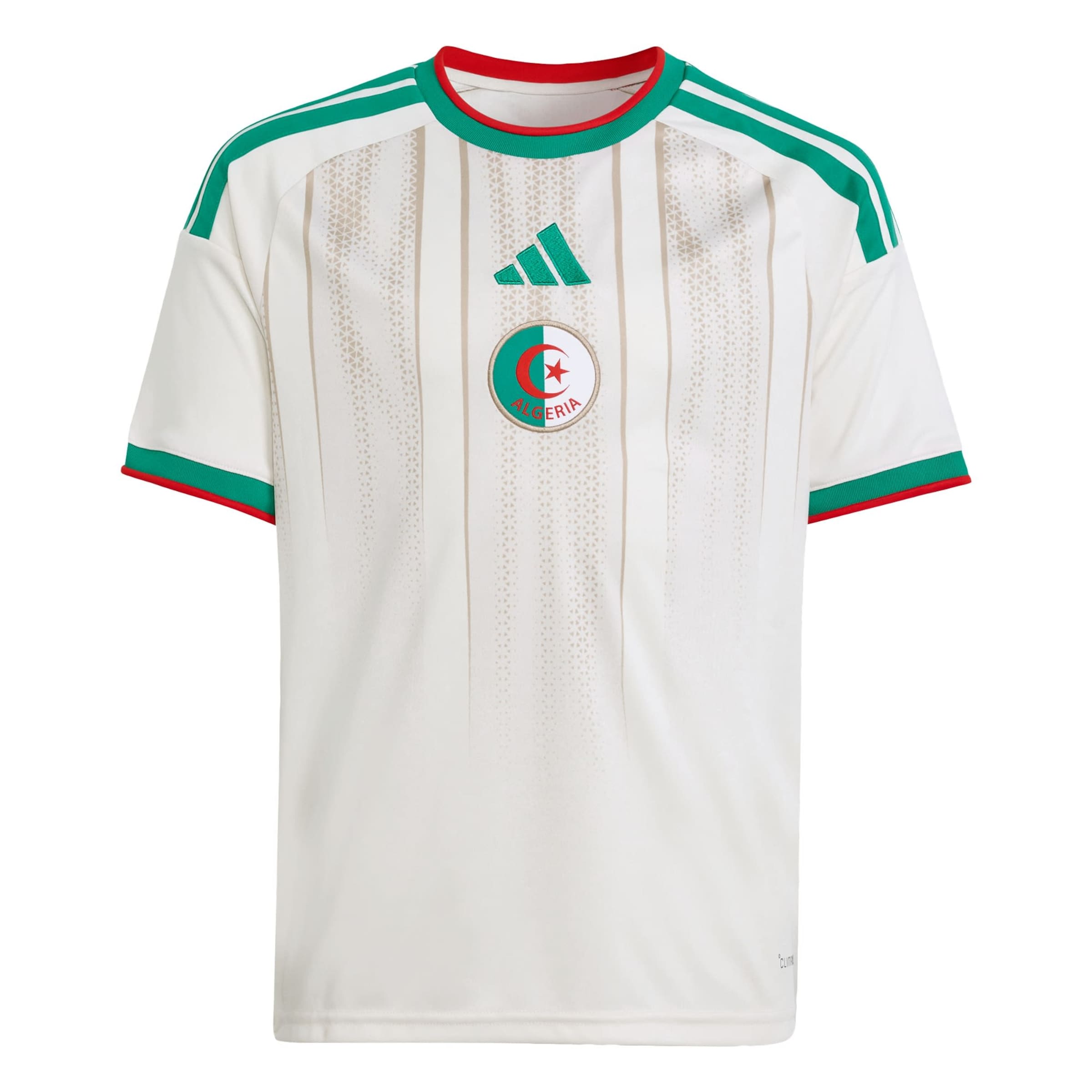 ADIDAS PERFORMANCE - Camiseta funcional 'Algerien 26' en blanco: frente