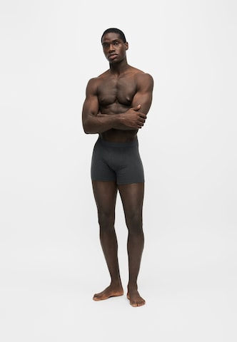 ABOUT YOU Boxer shorts 'Falk' in Grey