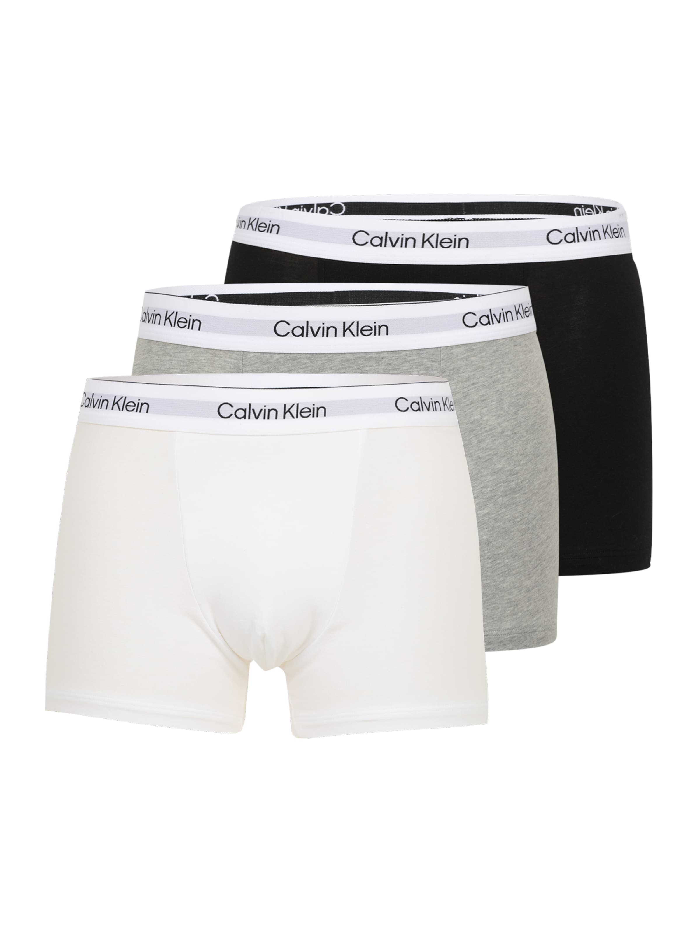 Calvin Klein Underwear Boxer shorts in Grey: front