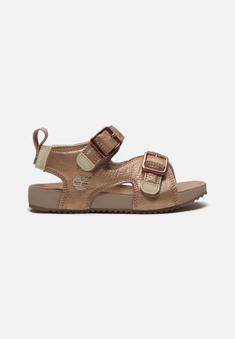 TIMBERLAND Sandal 'Backstrap Sandal' in Blue