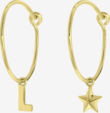 Lucardi Earrings in Gold: front