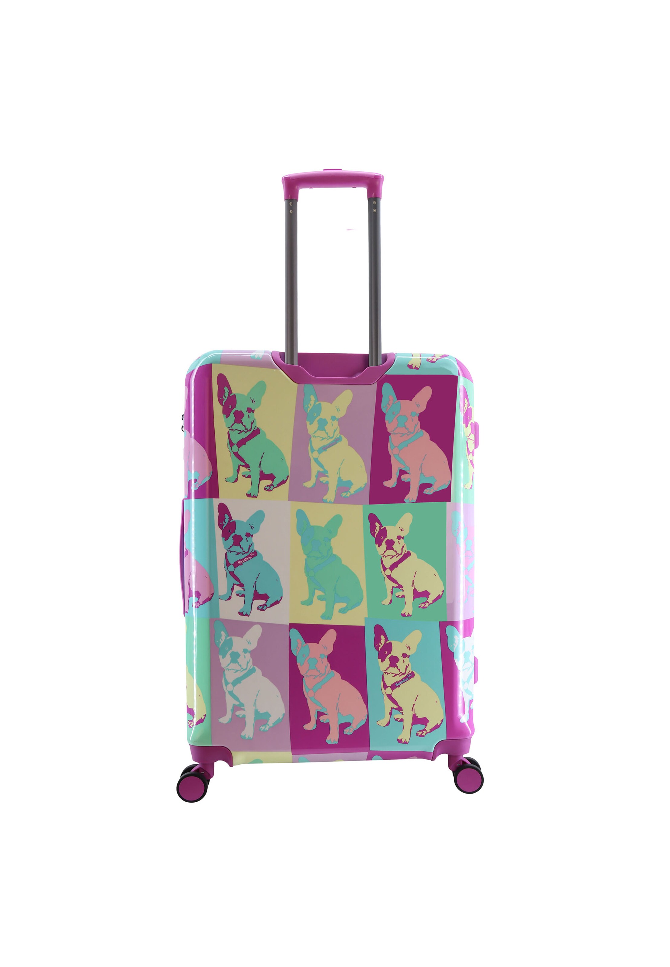 Saxoline Blue Suitcase in Mixed colors
