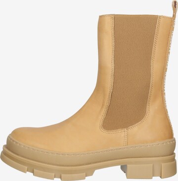 Chelsea Boots STEVE MADDEN en beige