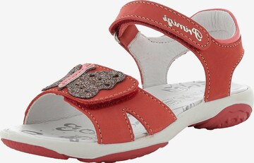 PRIMIGI Sandals in Red: front