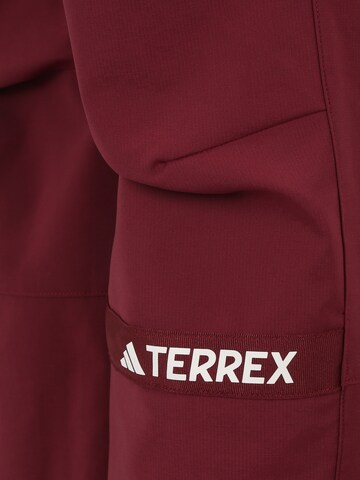 ADIDAS TERREX regular Παντελόνι πεζοπορίας 'Multi ' σε κόκκινο