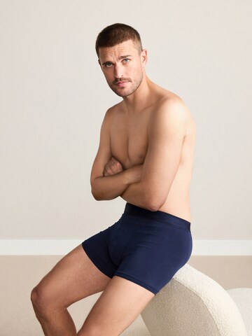 Next Boksarice | modra barva